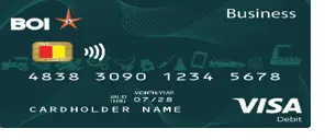 Visa Business Debit card